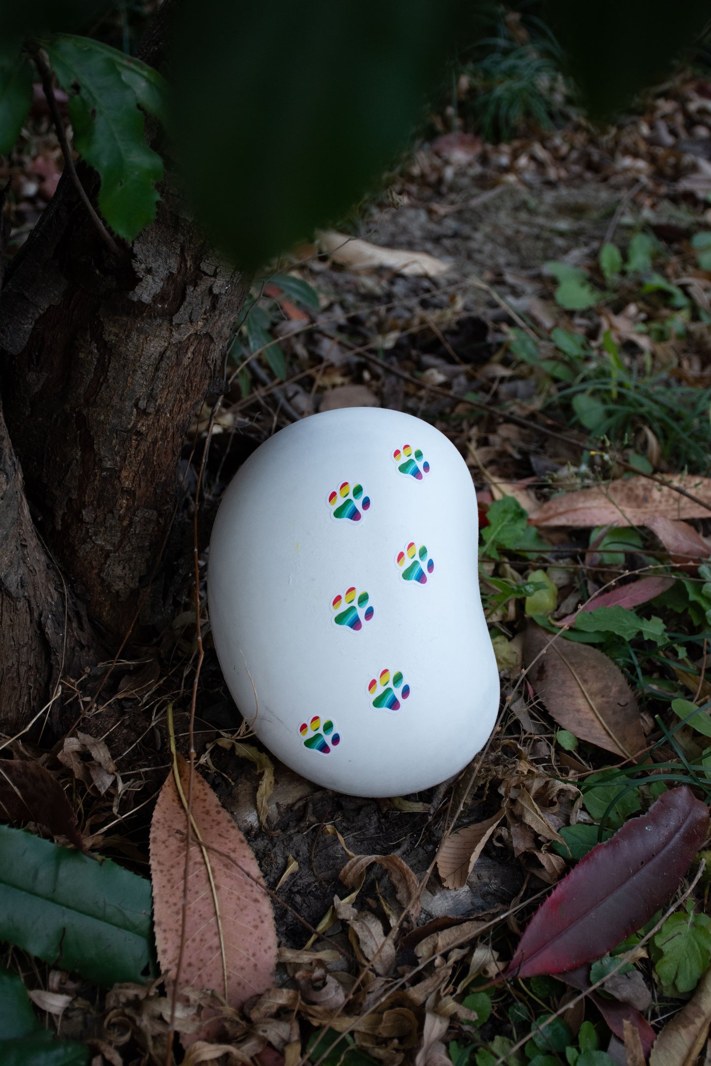 Seed Urn - Biodegradable Pet Urn